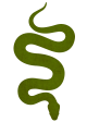 serpenttextured
